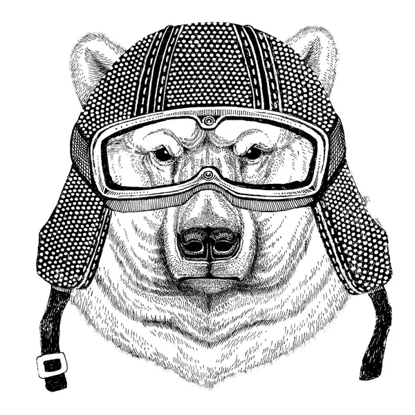 北极熊穿着老式摩托车头盔纹身、 徽章、 标志、 标识、 修补程序、 t 恤 — 图库照片
