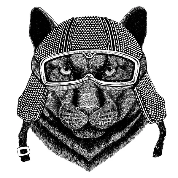 Pantera Puma Cougar Gato selvagem usando capacete de motocicleta vintage Tatuagem, emblema, emblema, logotipo, patch, t-shirt — Fotografia de Stock