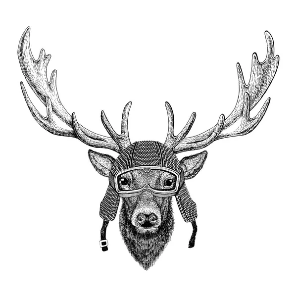 Deer wearing vintage motorcycle helmet Tattoo, badge, emblem, logo, patch, t-shirt — Stock Photo, Image