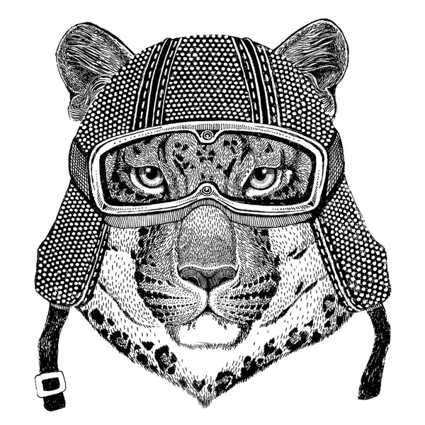 Wilde kat Leopard Cat-o-berg Panther dragen vintage Motorhelm Tattoo, badge, embleem, logo, patch, t-shirt — Stockfoto