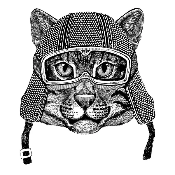 Gato salvaje gato de pesca con casco de moto vintage tatuaje, insignia, emblema, logotipo, parche, camiseta —  Fotos de Stock