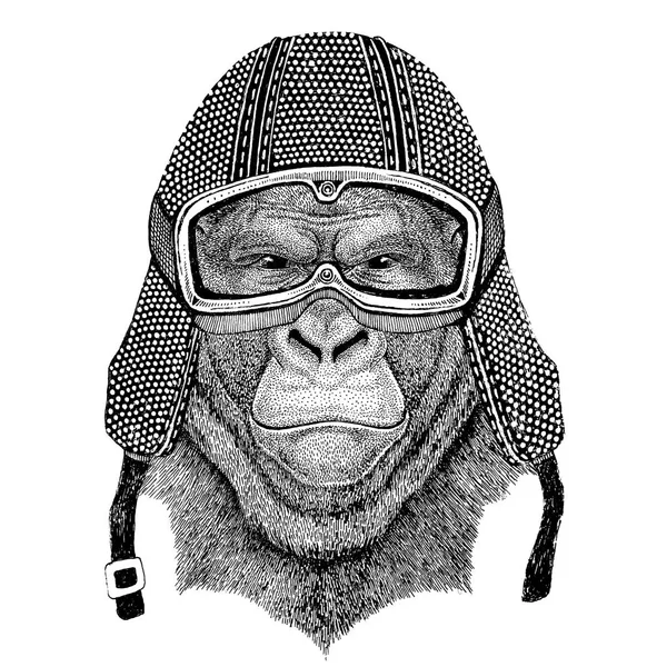 Gorila, opice, opice strašné zvíře nosit vintage motocykl helma tetování, odznak, emblém, logo, oprava, tričko — Stock fotografie
