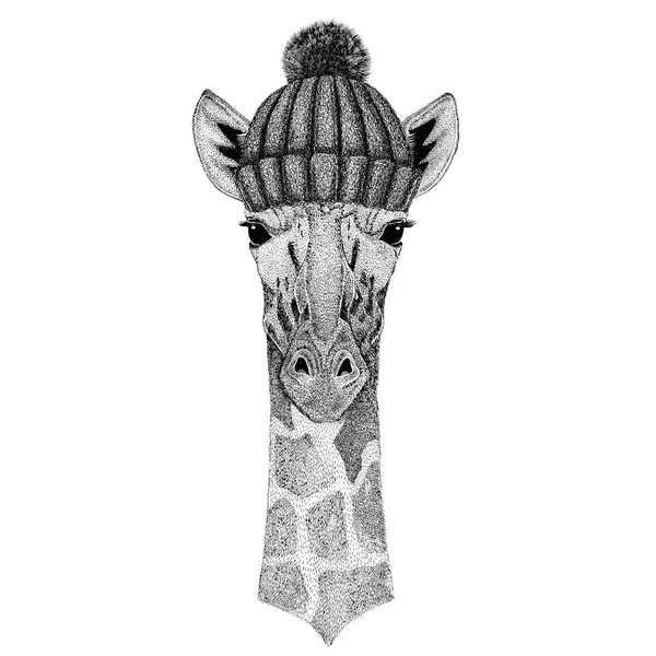 Camélope, girafe avec chapeau tricoté hiver — Photo