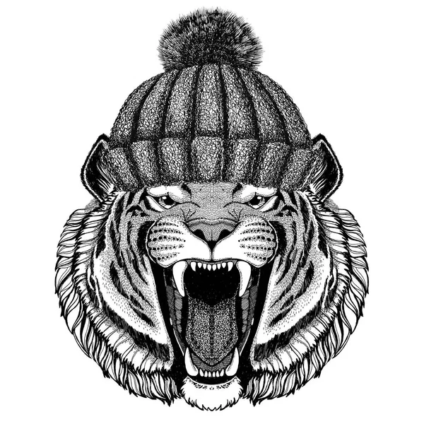 Tigre sauvage portant chapeau tricoté hiver — Photo