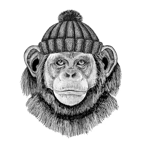 黑猩猩猴子穿冬季针织的帽子 — 图库照片