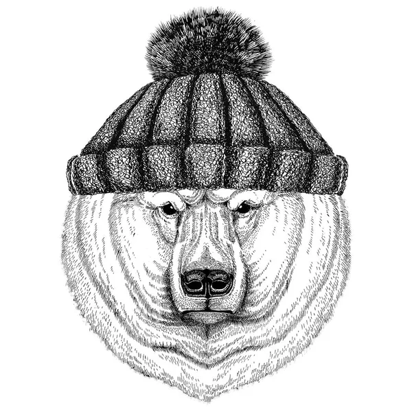 Polar bear dragen winter gebreide muts — Stockfoto