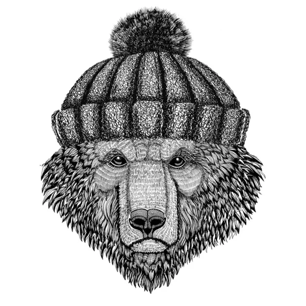 棕色的熊俄罗斯熊穿冬季针织帽子 — 图库照片