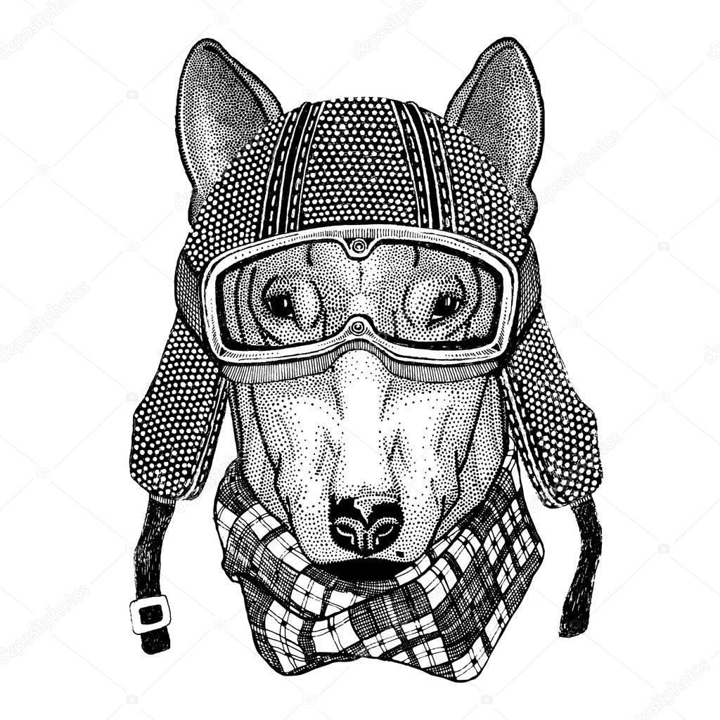 DOG for t-shirt design wearing vintage motorcycle helmet Tattoo, badge, emblem, logo, patch, t-shirt