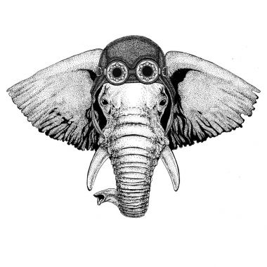 Pilot şapkası Afrika ya da Hindistan fil motorcu illüstrasyon motosiklet veya havacı için şapka gözlük ile motosiklet t-shirt hayvanla birlikte