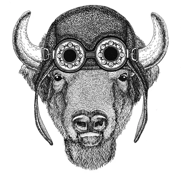 水牛，野牛、 牛，公牛戴着飞行员摩托车帽子戴着眼镜的摩托车图摩托车或飞行员与野生动物 t 恤 — 图库照片