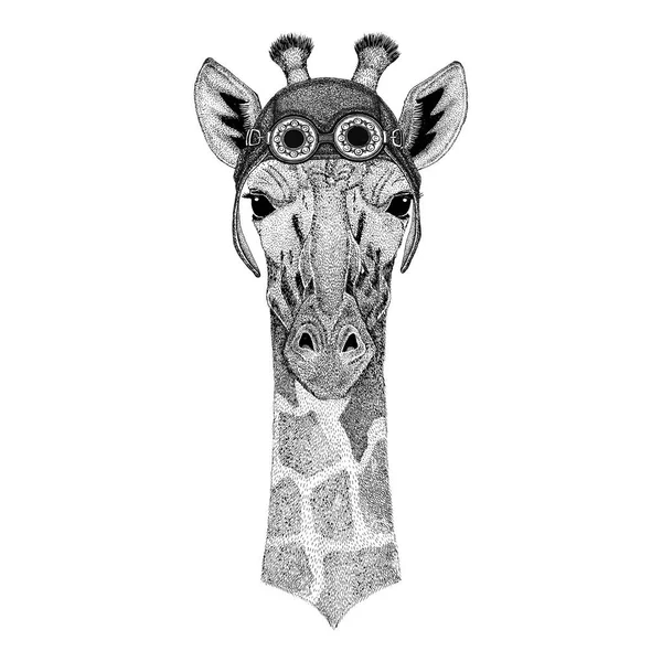 Camélope, girafe avec chapeau d'aviateur Chapeau de moto avec lunettes pour motard Illustration pour moto ou t-shirt d'aviateur avec animal sauvage — Photo