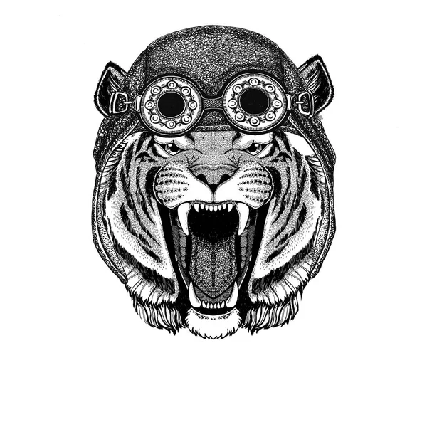 Cappello selvaggio tigre indossando aviatore Cappello moto con occhiali per motociclista Illustrazione per moto o aviatore t-shirt con animale selvatico — Foto Stock
