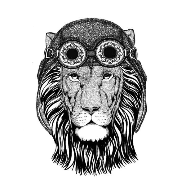 Wild Lion con sombrero de aviador Sombrero de moto con gafas para motorista Ilustración para moto o aviador Camiseta con animal salvaje — Foto de Stock