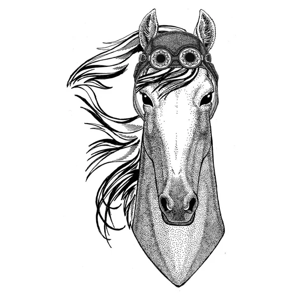 At, hoss, şövalye, at, havacı şapka motosiklet gözlüklü motorcu illüstrasyon motosiklet veya havacı için şapka ADİYAT hayvanla birlikte t-shirt — Stok fotoğraf