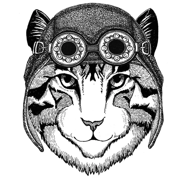 Εικόνα της οικόσιτης γάτας φορώντας αεροπόρος μοτοσικλέτα καπέλο καπέλο με γυαλιά για ποδηλάτης εικονογράφηση για μοτοσυκλέτα ή αεροπόρος t-shirt με άγριο ζώο — Φωτογραφία Αρχείου