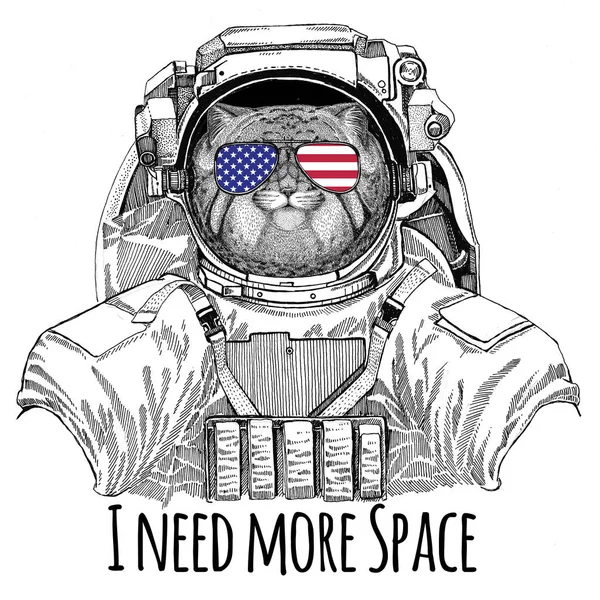 USA Flagge Brille amerikanische Flagge Vereinigte Staaten Flagge wilde Katze manul trägt Weltraumanzug wildes Tier Astronaut Raumfahrer Galaxie Erforschung handgezeichnete Illustration für T-Shirt — Stockfoto