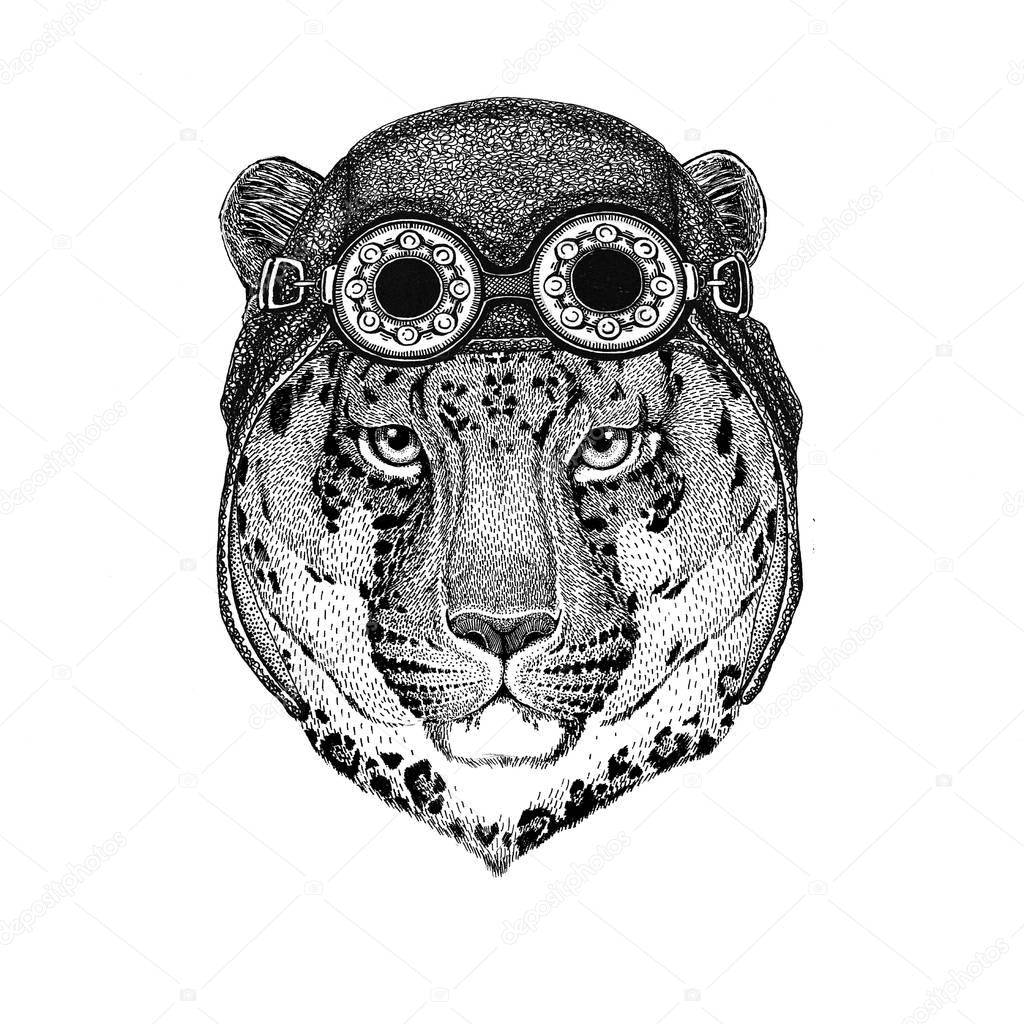 Wild animal wearing aviator hat Motorcycle hat with glasses for biker Image for motorcycle or aviator t-shirt with wild animal