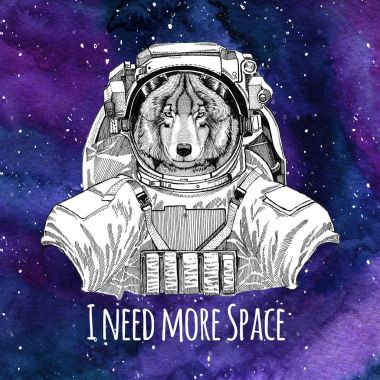 Hayvan astronot Kurt köpek giyen uzay giysisi Galaxy alan arka plan yıldız ve bulutsunun suluboya gökada arka plan ile