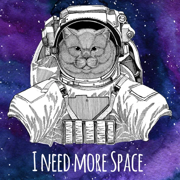 Animal astronaut Brithish noble cat Male wearing space suit Galaxy space background with stars and nebula Watercolor galaxy background