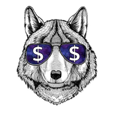 Kurt köpek dolar işareti vahşi hayvan illüstrasyon ile t-shirt için gözlük dövme kroki, yama