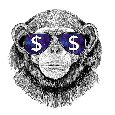 Dolar işareti vahşi hayvan illüstrasyon ile t-shirt için gözlük dövme kroki, yama şempanze maymun