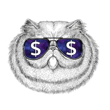 Kabarık Farsça kedi dolar işareti vahşi hayvan illüstrasyon ile t-shirt için gözlük dövme kroki, yama portresi