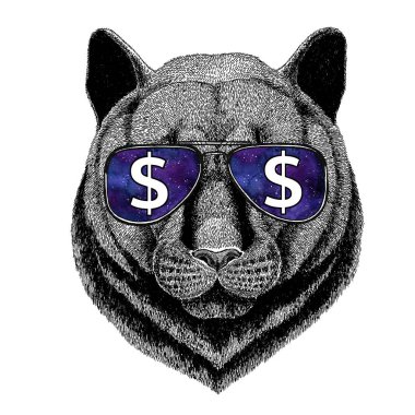 Dolar işareti vahşi hayvan illüstrasyon ile t-shirt için gözlük dövme kroki, yama Panter Puma Cougar vahşi kedi