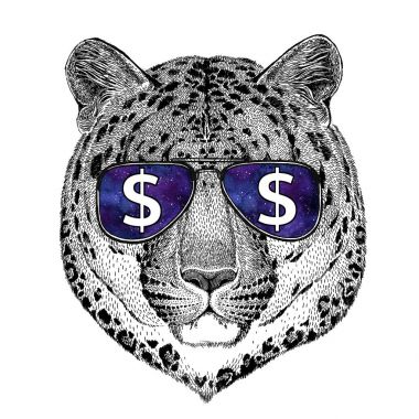 Vahşi kedi leopar kedi-o-dağ Panter'in gözlük dolar işareti için t-shirt, vahşi hayvan illüstrasyon ile dövme kroki, yama