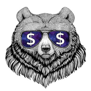 Kuzey Amerika boz ayısı büyük vahşi ayı gözlük dolar işareti vahşi hayvan illüstrasyon ile t-shirt, dövme kroki, yama