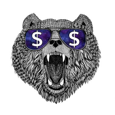 Boz ayı Rusça ayı gözlük dolar işareti vahşi hayvan illüstrasyon ile t-shirt, dövme kroki, yama