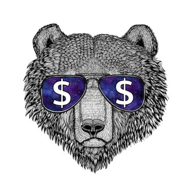 Boz ayı Rus ayısına dolar işareti olan gözlüklü