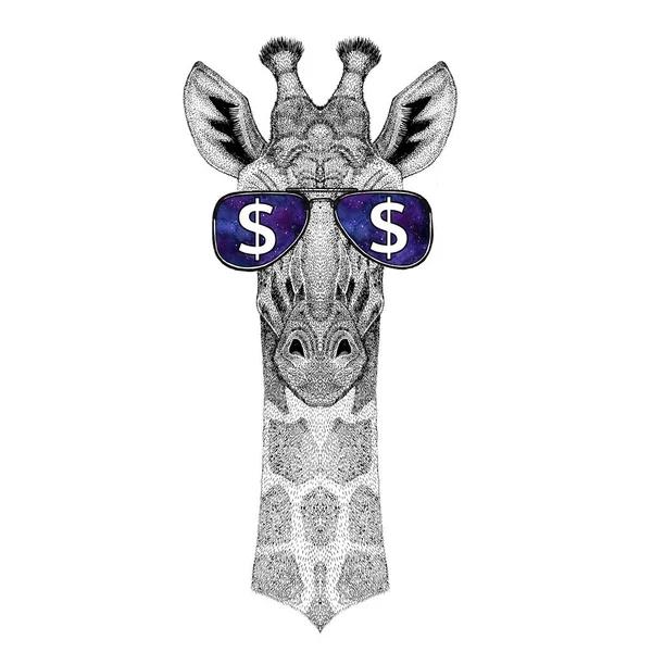 Камелопард, жираф в окулярах зі знаком долара — стокове фото