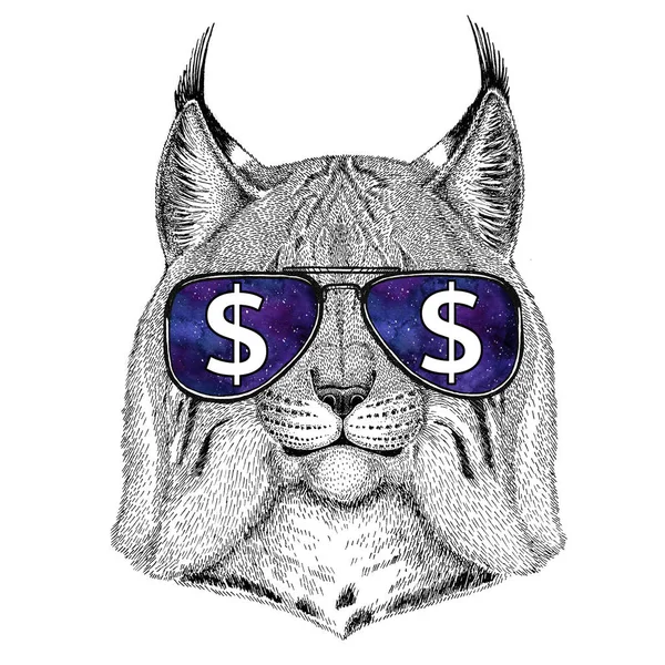 Chat sauvage Lynx Bobcat Trot portant des lunettes avec signe dollar Illustration avec animal sauvage pour t-shirt, croquis de tatouage, patch — Photo