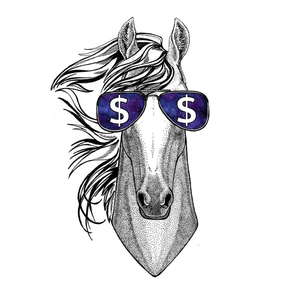 Кінь, коник, скелястий лицар, кур'єр в окулярах з доларовим знаком Ілюстрація з дикою твариною для футболки, ескіз татуювання, патч — стокове фото