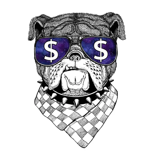 Bulldog szemüveg dollár jel illusztráció a vadon élő állat a póló, tetováló vázlat, javítás — Stock Fotó