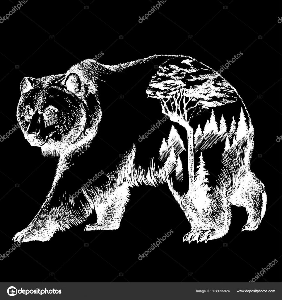 Bear tattoo Vector Art Stock Images | Depositphotos