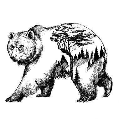 Vektör ayı çift pozlama dövme sanatı. Kanada. Dağlar, pusula. Boz ayı ayı grizzly siluet t-shirt tasarım turizm sembolü, Macera, büyük açık.