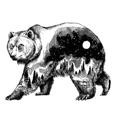 Vektör ayı çift pozlama dövme sanatı. Kanada. Dağlar, pusula. Boz ayı ayı grizzly siluet t-shirt tasarım turizm sembolü, Macera, büyük açık.