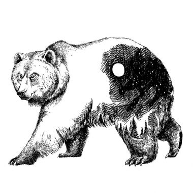 Vektör ayı çift pozlama dövme sanatı. Kanada. Dağlar, pusula. Boz ayı ayı grizzly siluet t-shirt tasarım turizm sembolü, Macera, büyük açık.