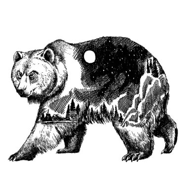 Vektör ayı çift pozlama dövme sanatı. Kanada. Dağlar, pusula. Boz ayı ayı grizzly siluet t-shirt tasarım turizm sembolü, Macera, büyük açık.