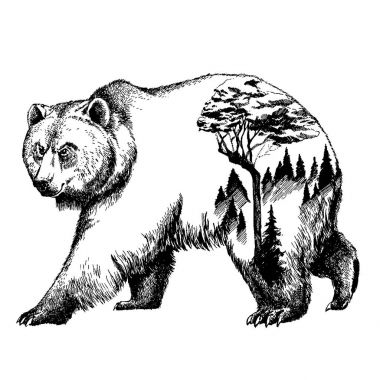Vektör ayı çift pozlama dövme sanatı. Kanada. Dağlar, pusula. Boz ayı ayı grizzly siluet t-shirt tasarım turizm sembolü, Macera, büyük açık.