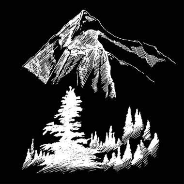 Vahşi doğa dağ Orman ağaçları Kuzey manzara