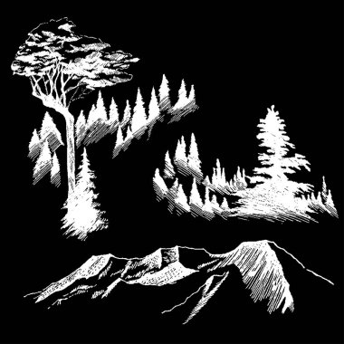 Vahşi doğa dağ Orman ağaçları Kuzey manzara