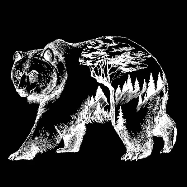 Vektor medvěd dvojexpozicí tattoo art. Kanada. Hory, kompasu. Medvěd hnědý medvěd grizzly silueta t-shirt design cestovní ruch symbol, dobrodružství, velký venkovní. — Stockový vektor