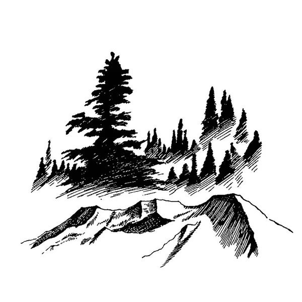 Άγρια φύση τοπίο βουνού ξύλο δέντρα Βόρεια — Διανυσματικό Αρχείο
