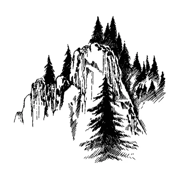 Άγρια φύση τοπίο βουνού ξύλο δέντρα Βόρεια — Διανυσματικό Αρχείο