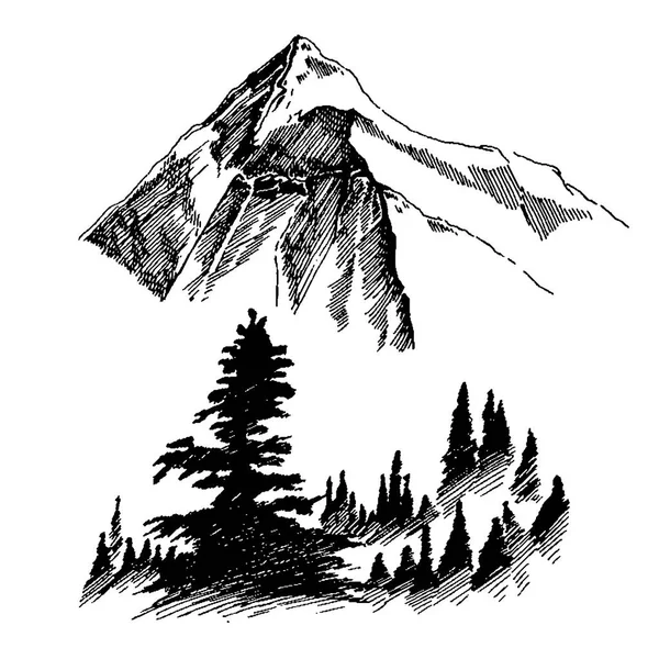 Wild nature Mountain Wood Trees North landscape — Stock Illustration Wild nature Mountain Wood Trees North landscape Royalty Free Stock Vectors