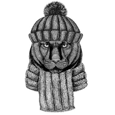 Panter Puma Cougar vahşi kedi örme şapka ve atkı