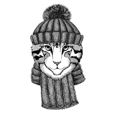 Yerli kedi örme şapka ve atkı görüntüsünü