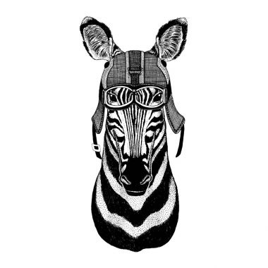 Zebra at giyiyor motosiklet kask, havacı kask gösterim amacıyla t-shirt, yama, logo, rozet, amblem, logo motorcu t-shirt hayvanla birlikte